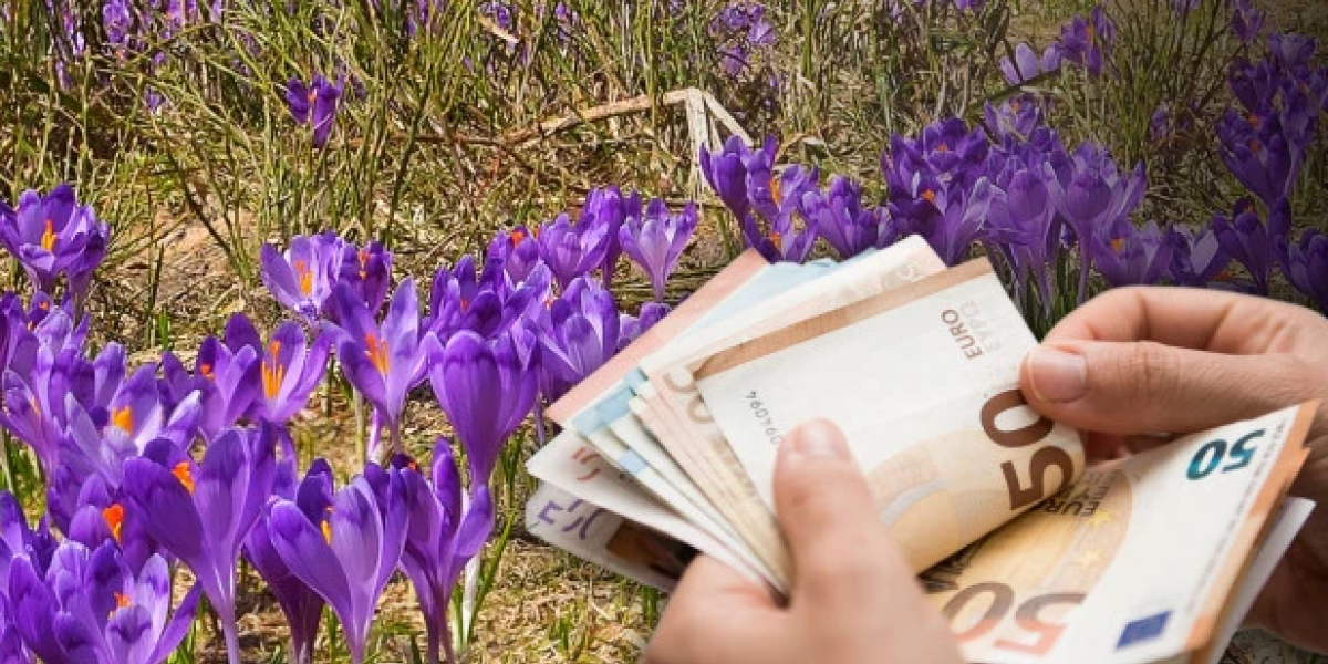 Ima ga na Fruškoj Gori! Za 200 cvetova 50 evra! Srbi se bacili u potragu za ovim biljem!