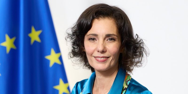 Na ovo nema šta da se doda, slika i reči govore sve! Ovu pamet građani EU plaćaju 25.000 evra mesečno, može li jasnije!