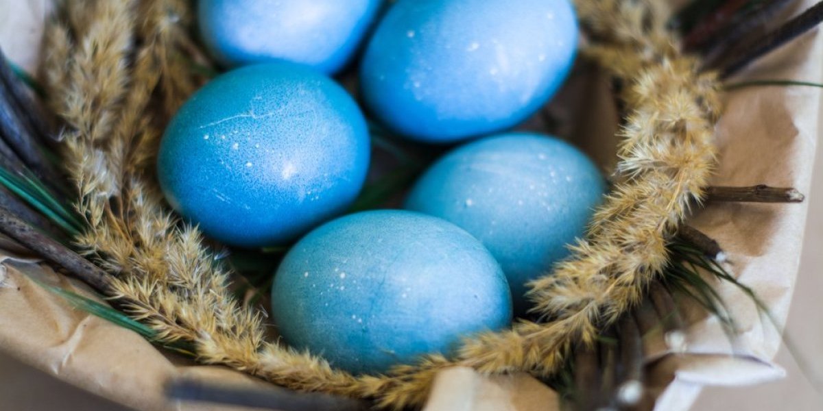 Plava jaja za Vaskrs uz pomoć kupusa! Nema veštačke boje koja ih može bolje ofarbati