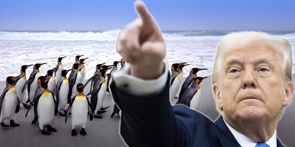 Tramp i pingvinima uveo 10 odsto carine! Nećete verovati šta se krije iza bizarnog poteza: Veoma je dobro osmišljeno...