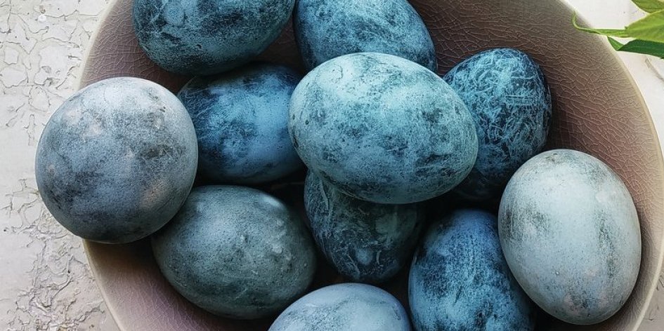 Ofarbajte jaja sa kupusom! Dobićete najlepšu plavu nijansu, a tehnika je nikad lakša