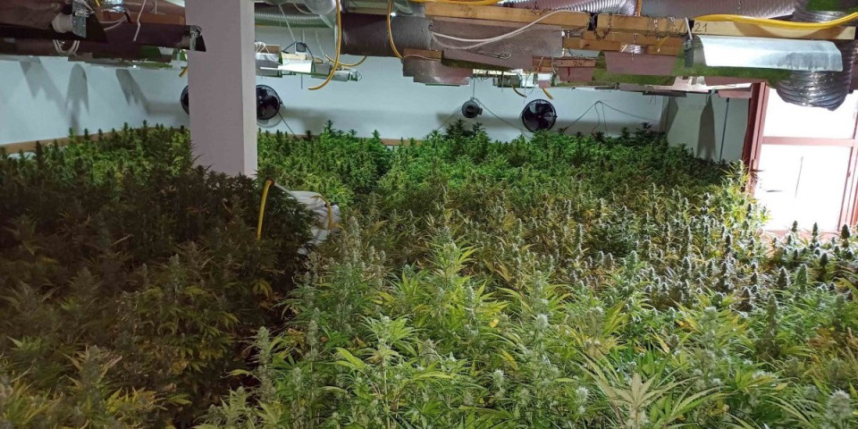 Otkrivena narko fabrika u Smederevu: Policija upala u kuću i uhapsila osumnjičene