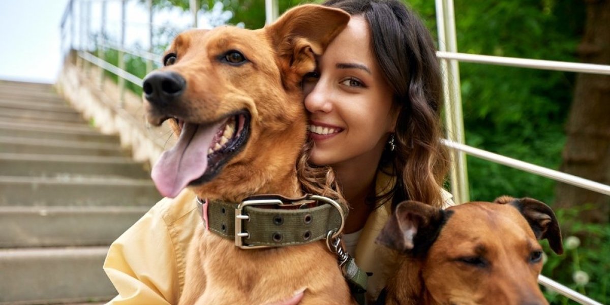 4 sigurna znaka da vas pas voli! Stručnjak otkrio kako ljubimci pokazuju svoja osećanja