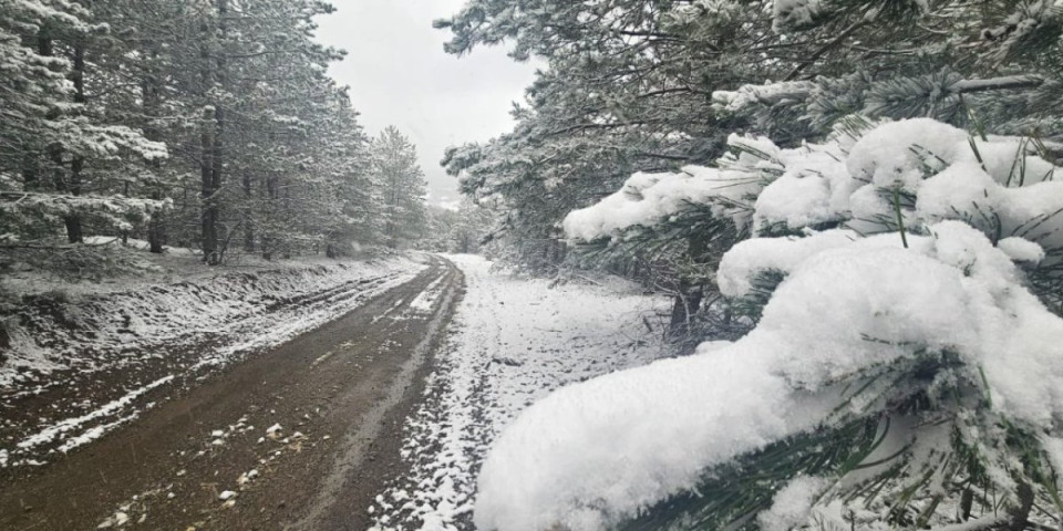 Zabelela se Srbija! Evo gde je jutros pao prvi sneg (FOTO)
