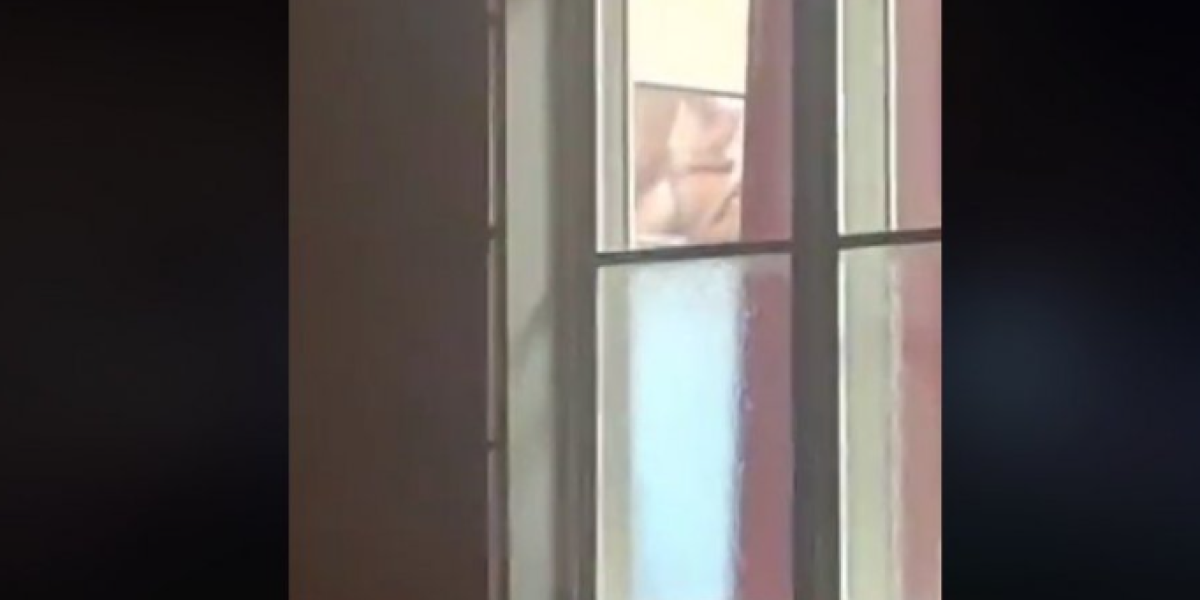 Skandal u Bečeju! Blokiraju gimnaziju, dok gledaju pornografski sadržaj (VIDEO)