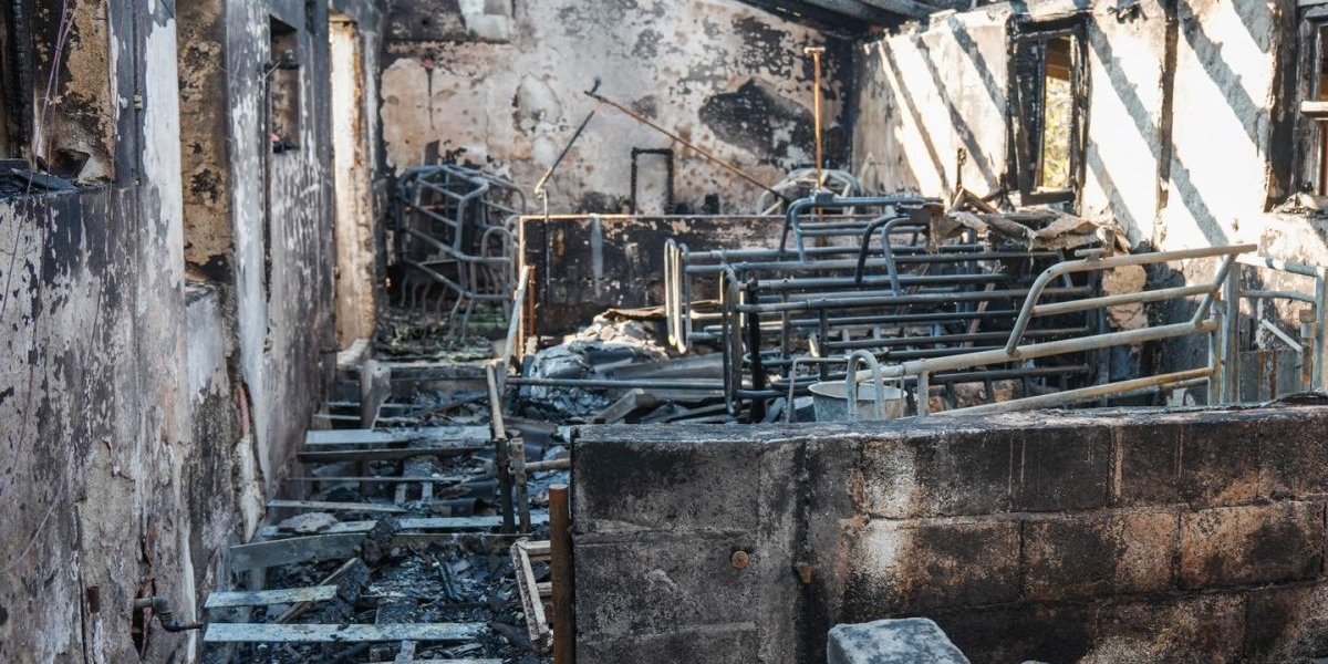 Tuga! Požar u Kozjaku ojadio domaćinstvo Dimitrijevića! Grad ponudio pomoć