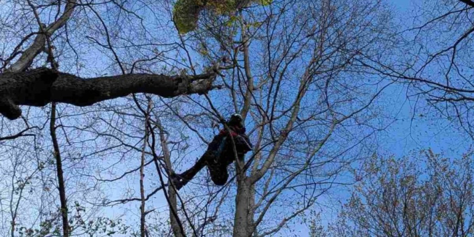 Pao Paraglajder u Budvi! Dve osobe povređene, izvlačili ih vatrogasci-spasioci