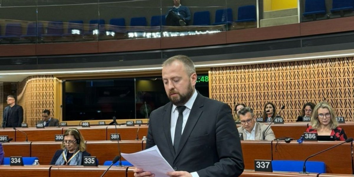 Aleksandar Mirković u Savetu Evrope: Da li znate da se protesti organizuju ispred kuća ljudi koji ne žele da podrže proteste?