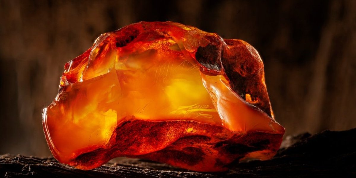 Šokantno otkriće! Šta su ovo naučnici našli u ćilibaru?! Zavirili duboko u prošlost i došli do neverovatnog saznanja!