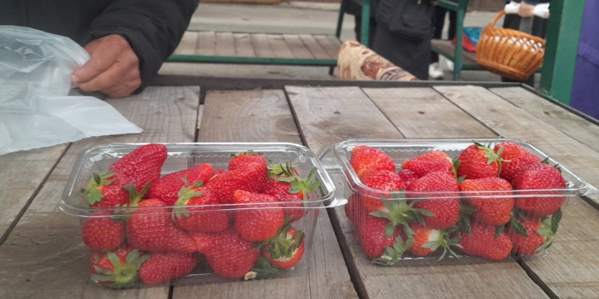 Made in Topola! Na tezge stigle prve domaće jagode, a cena...