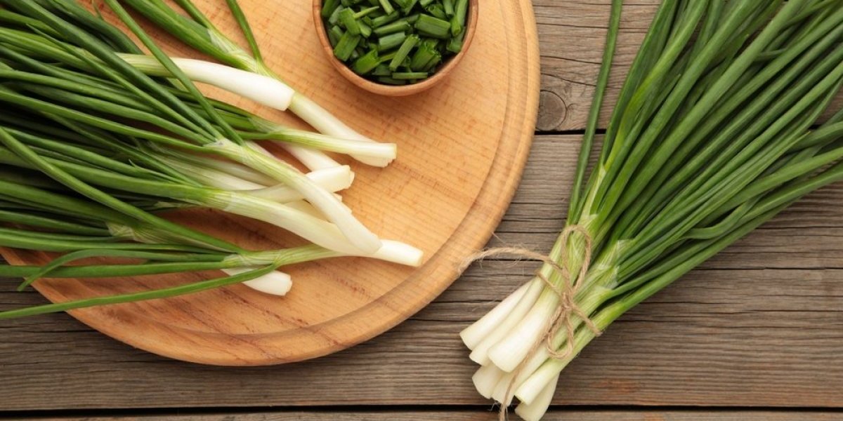 Mladi luk je spas za organizam! 5 razloga da ga jedete što češće ovog proleća