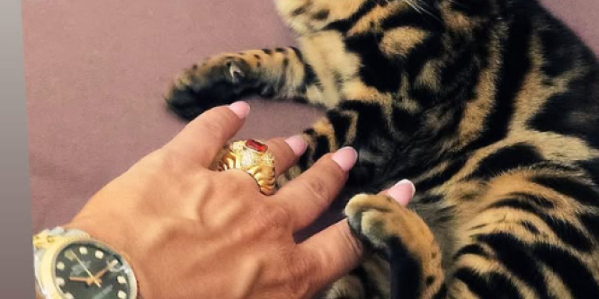 Maca Jovane Jeremić