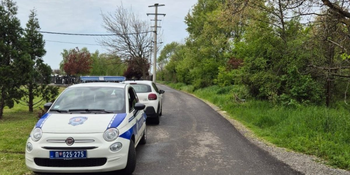 Uviđaj u šumi iza Novog groblja u Obrenovcu 