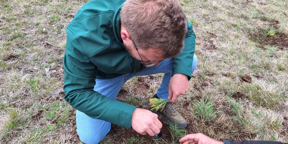 Da nije bilo njega, ne bi bilo ni Zlatibora! Evo zašto!