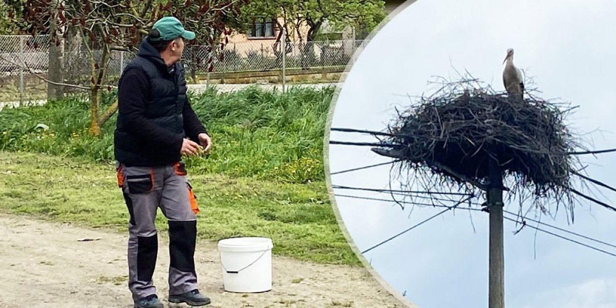 Priča o neobičnom prijateljstvu! Rakica i ovaj par druže se punih sedam godina, a sve je počelo ovako