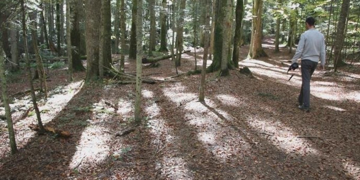 Rendžeri nadziru planinu Taru i upozoravaju: Ko na praznike uradi ovo, platiće drastičnu kaznu!