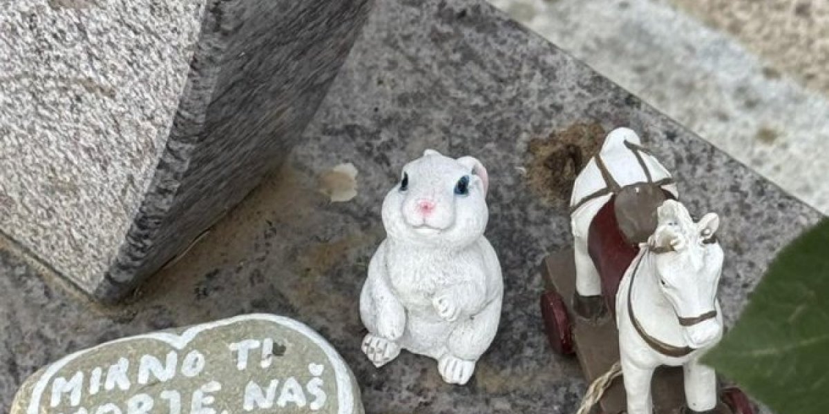 Grobno mesto Đorđa Balaševića