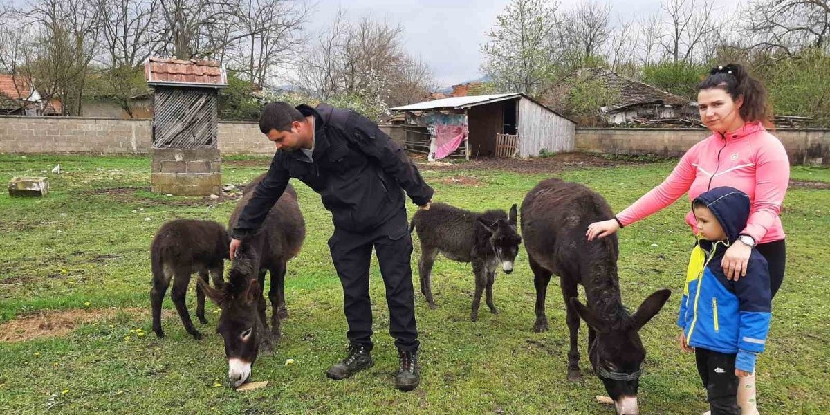 Devet godina živeli u Švajcarskoj pa se vratili u selo! I oni i deca uživaju u životinjskom carstvu