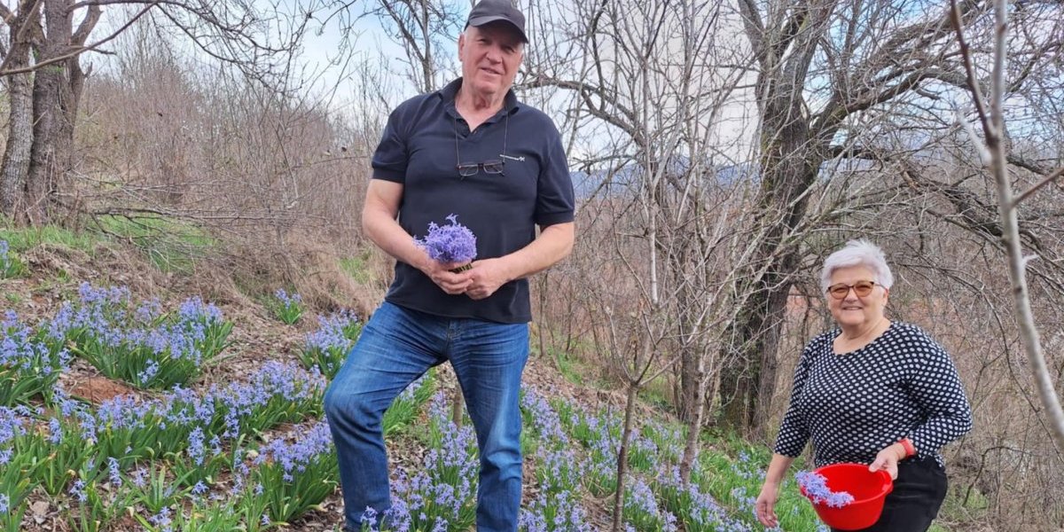 Ovo brdo kod Gadžinog Hana naslednici ne mogu da prepoznaju! Za sve je kriva baka Ljubica