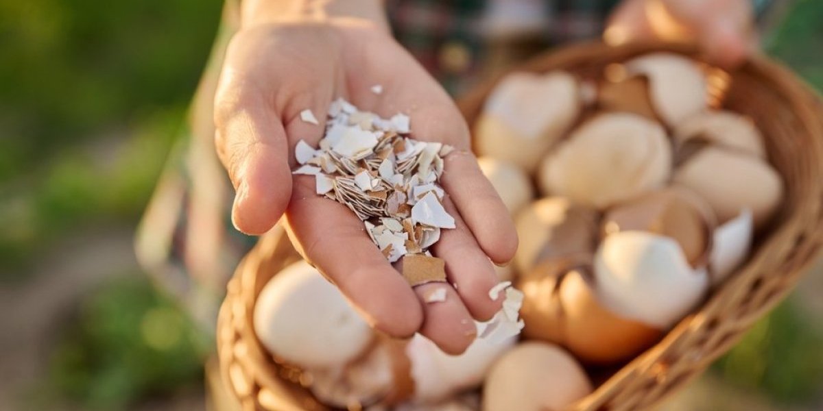 Ne bacajte ljuske vaskršnjih jaja! Pravo su blago - bićete iznenađeni za šta su sve korisne