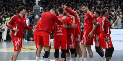 "Delije" u delirijumu - Zvezda dovela novo pojačanje