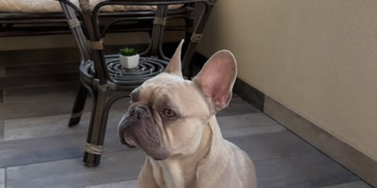 Dom Stanije Dobrojvić u Rumi