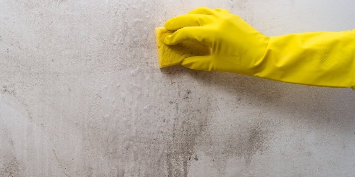 Neverovatan trik za čišćenje zidova! Poprskajte ih ovim sredstvom i fleke nestaju kao od šale (VIDEO)