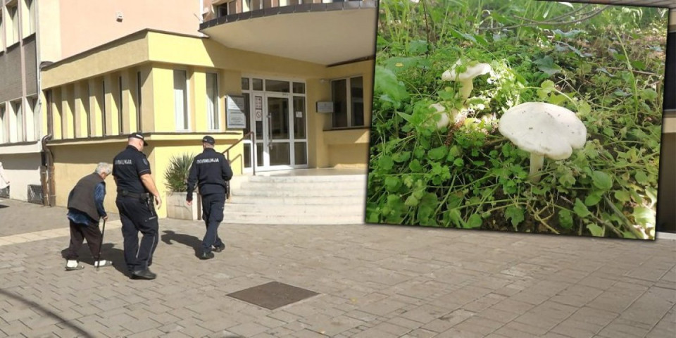 Ovde se najmanje jedu pečurke, a ima ih u izobilju! Ovaj tragičan događaj još nije dobio sudski epilog