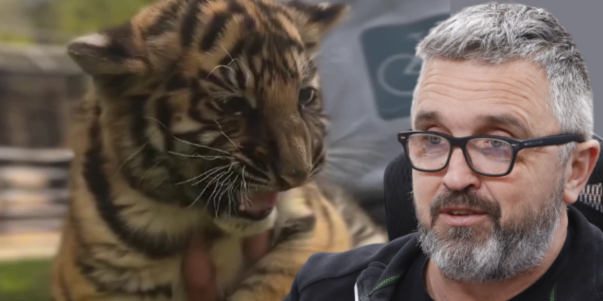 (VIDEO) Usvojen Vučkov predlog: Evo kako će se zvati tigrica u Zoološkom vrtu u Jagodini