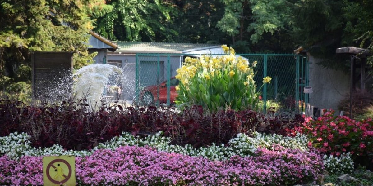 Lepe vesti sa Kalemegdana: Stigla nova beba u zoo-vrt