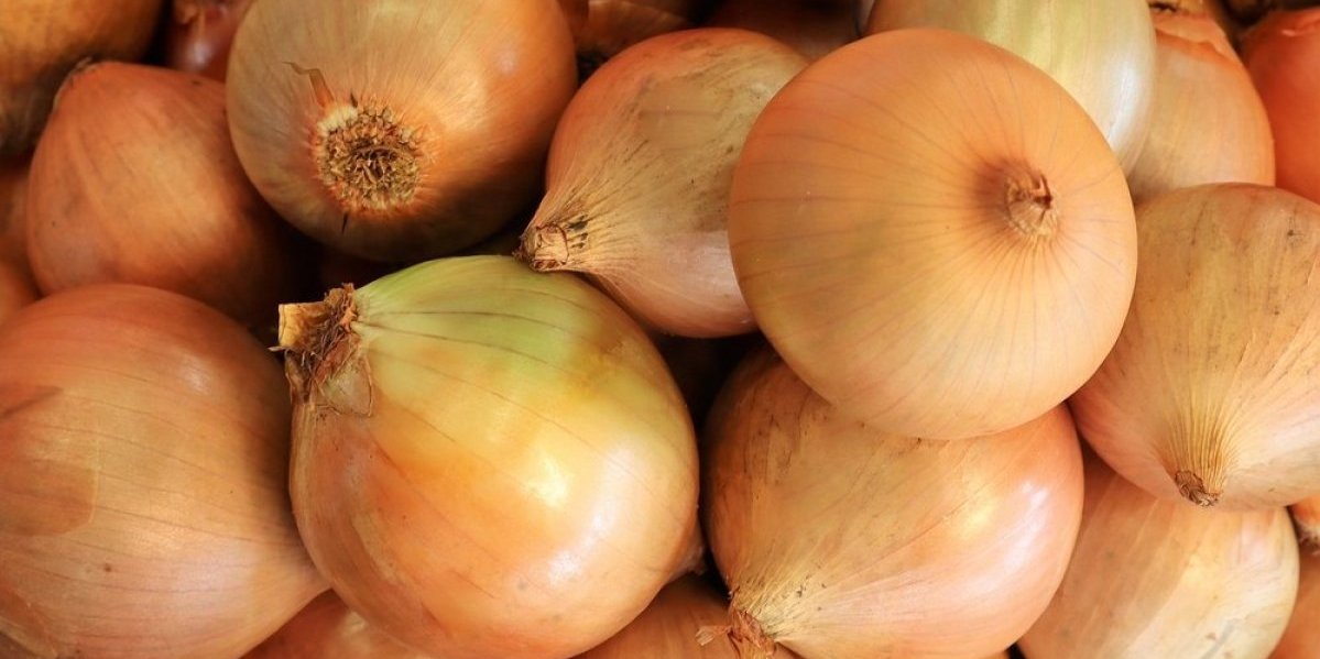 Najzdravija vrsta luka! Podiže imunitet, čisti creva i snižava holesterol - jedite ga što češće
