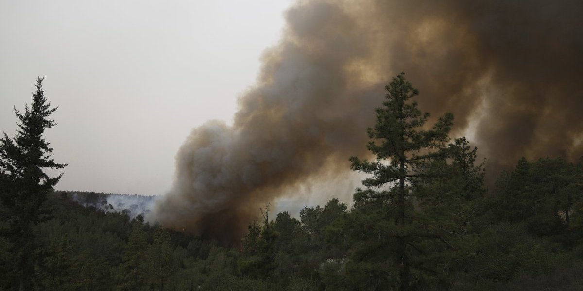 Zapalio rastinje, pa izgorelo sve u krugu od  9 kilometara! Horor u Danilovgradu