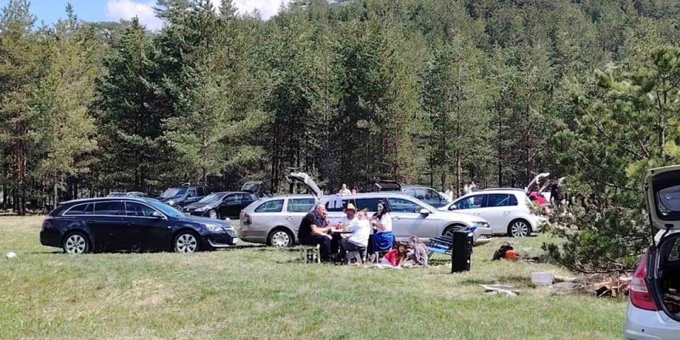 Peva Zlatibor! A stiže i prasence! Ovako se praznuje! (VIDEO)