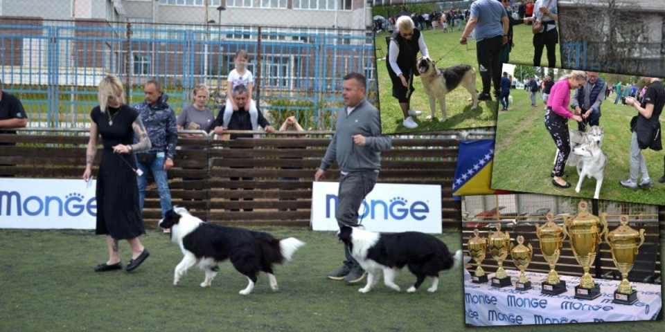 Kuce iz cele Evrope sjatile se u Vranju! Više od 200 izlagača stiglo na izložbu pasa, ovo su najlepši (FOTO)