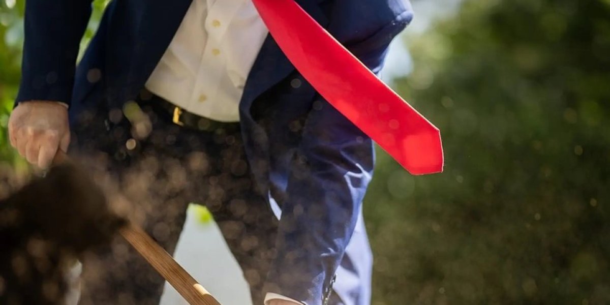 Instagram profil Bele Kuće