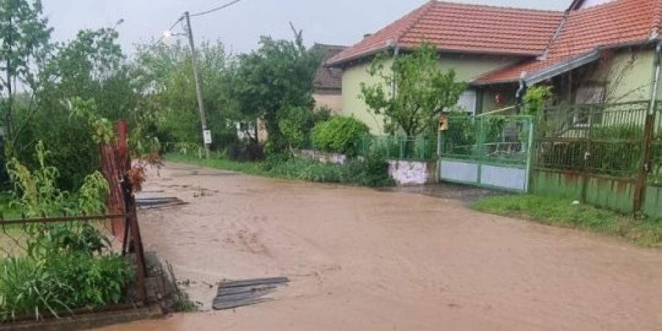 Vanredna situacija u Golupcu?! Usevi uništeni, domaćinstva poplavljena (VIDEO)