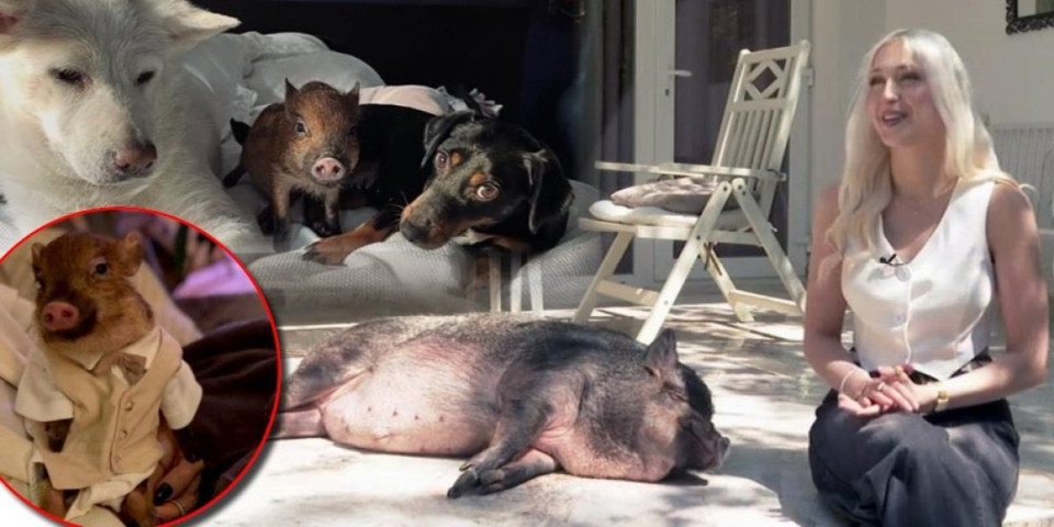 Pojedite mene, a ne Gileta! Vlasnica ovog neobičnog kućnog ljubimca nema nikakvu dilemu (FOTO)