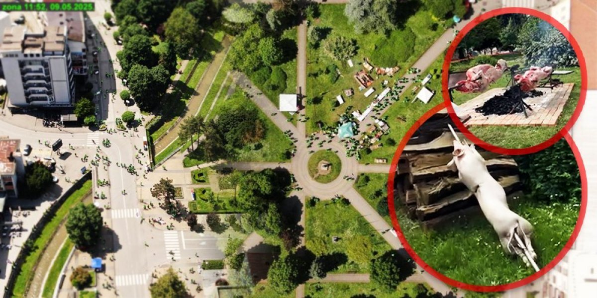 Poklali pola stočnog fonda zbog blokadera, a nema ko da jede! Debakl foteljaša u Loznici (VIDEO)