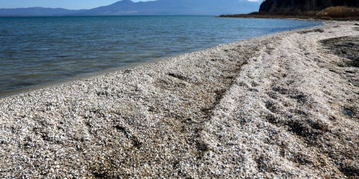 Da li je realno da je ovo neko rekao? Šok izjava Crnogorke: Vodostaj Jadrana raste zbog kamenčića (VIDEO)