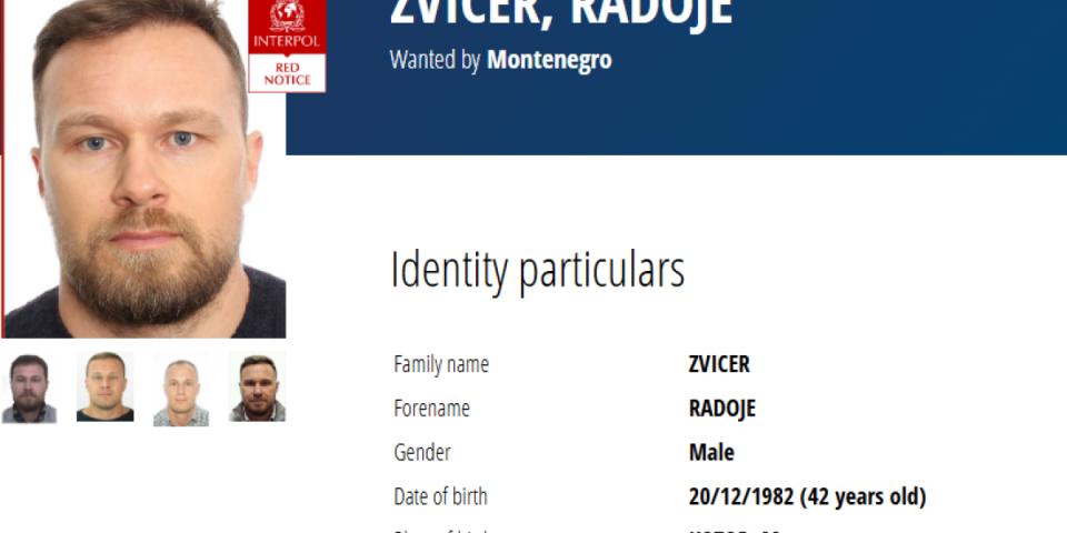 "Krenulo je ludilo, drugari, sa anđelima samo": Zvicer osuđen na 16 godina zbog ove droge