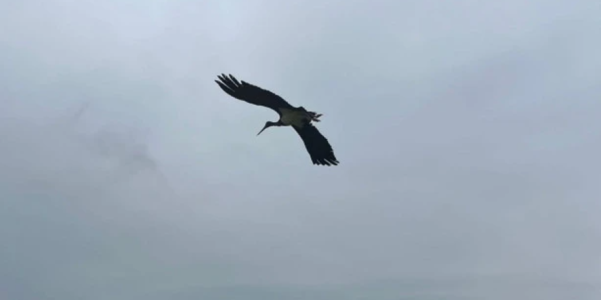 Posle dve godine i ona napustila "sigurnu kuću" na Paliću