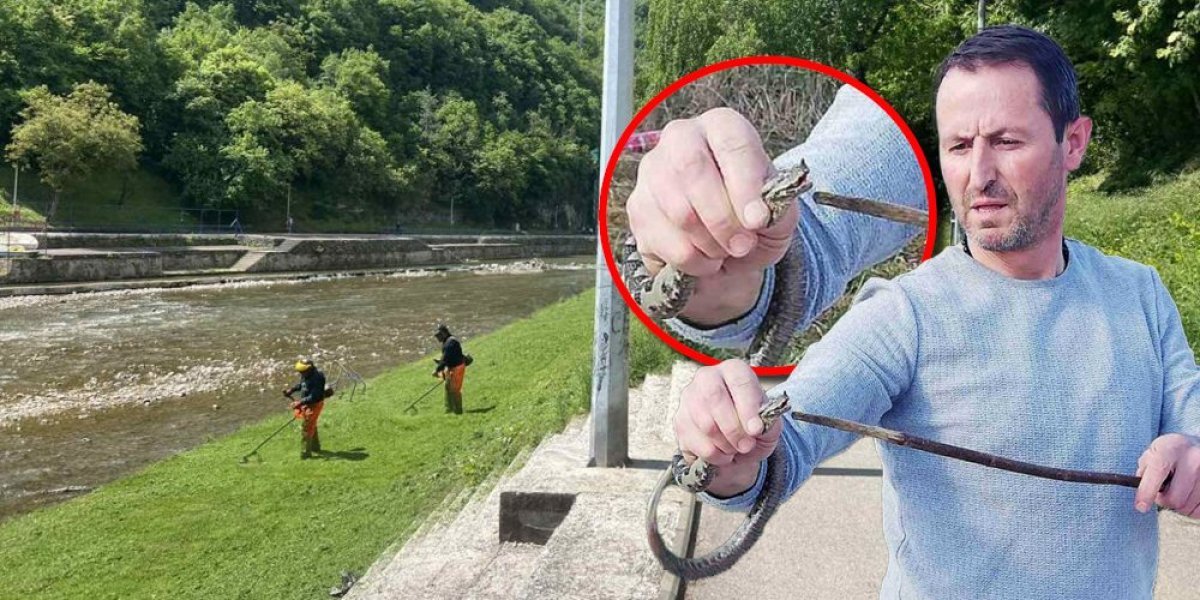 Užički zmijolovac Arsenije ima predlog za gradske vlasti pred leto