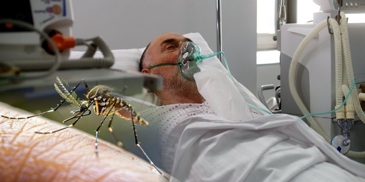 Ljiljanu ujeo komarac, a onda je saznala strašnu istinu: Usledila je borba za život