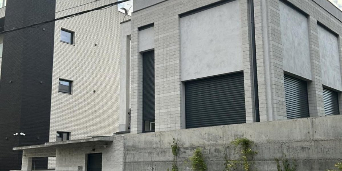 Vila Gorana Bregovića na Senjaku