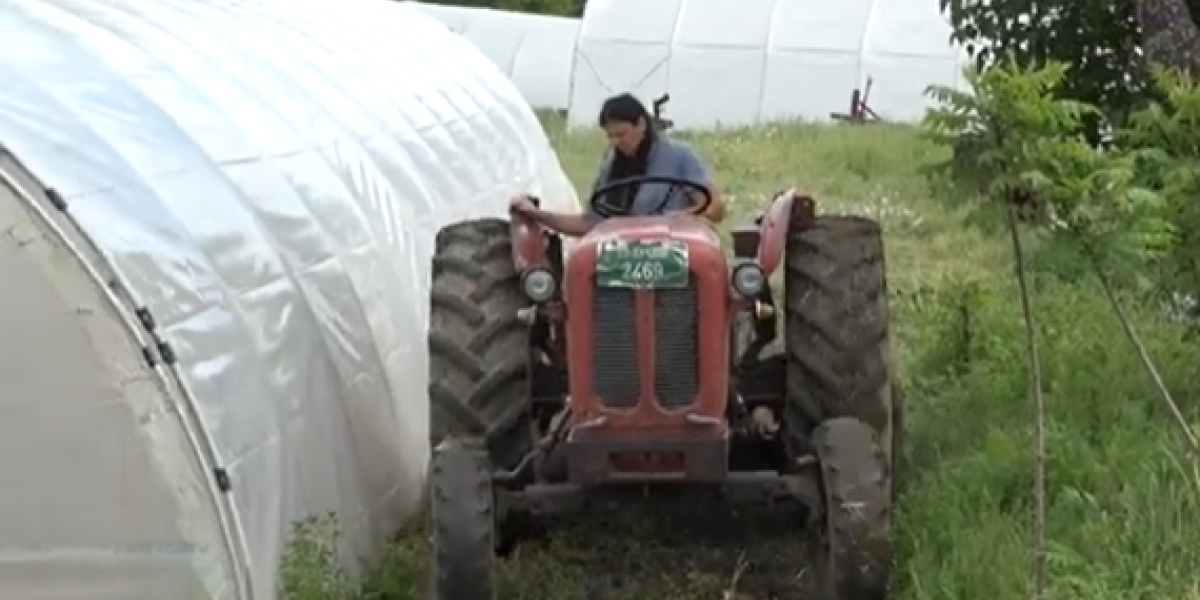 Tri sestre nasledile imanje i nisu se posvađale! Ana, Sanja i Suzana su iz "druge priče"