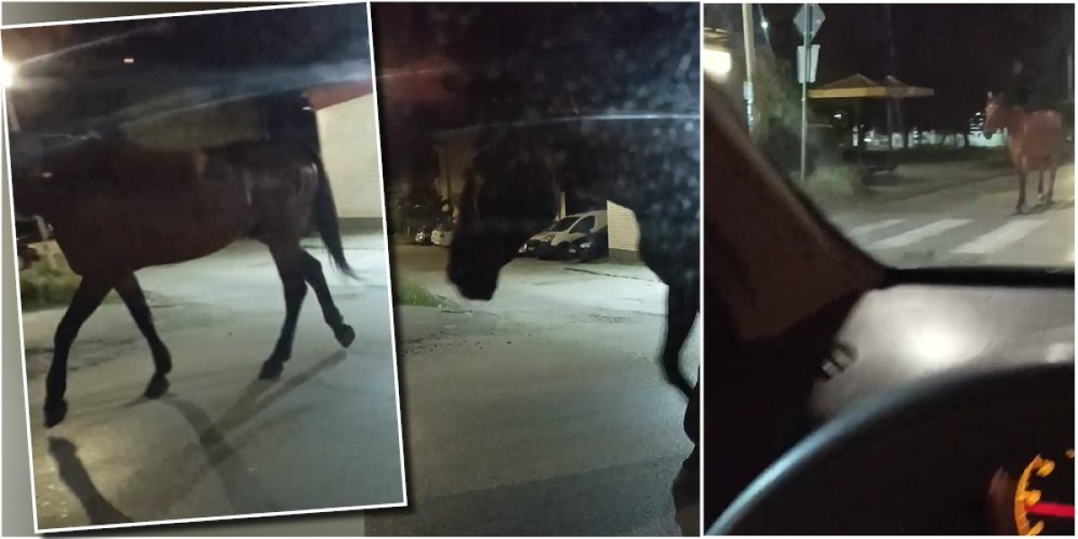 Da l' sam pijan il' mi se priviđa? Kragujevčanina šokirao prizor usred noći (VIDEO)