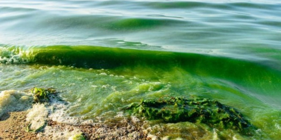 (FOTO) Šta se dešava, Jadran više nije plav, promenio je boju: Zastrašujući satelitski snimci, naučnici upalili alarm
