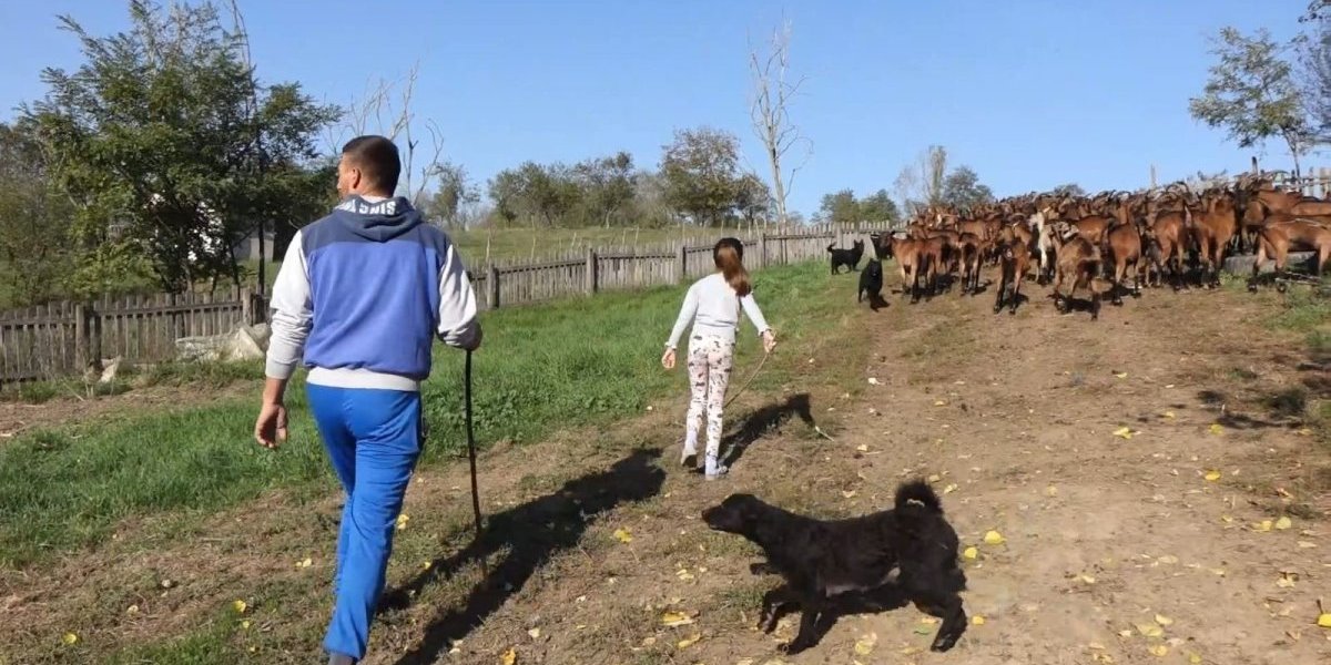 Vladimir i Anastasija