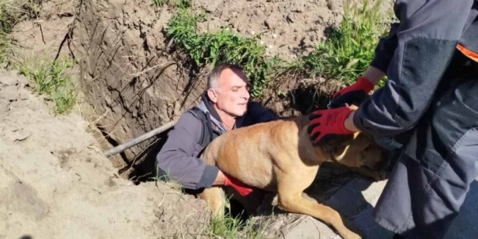 Radnici Zoohigijene izbavili pse iz ponora