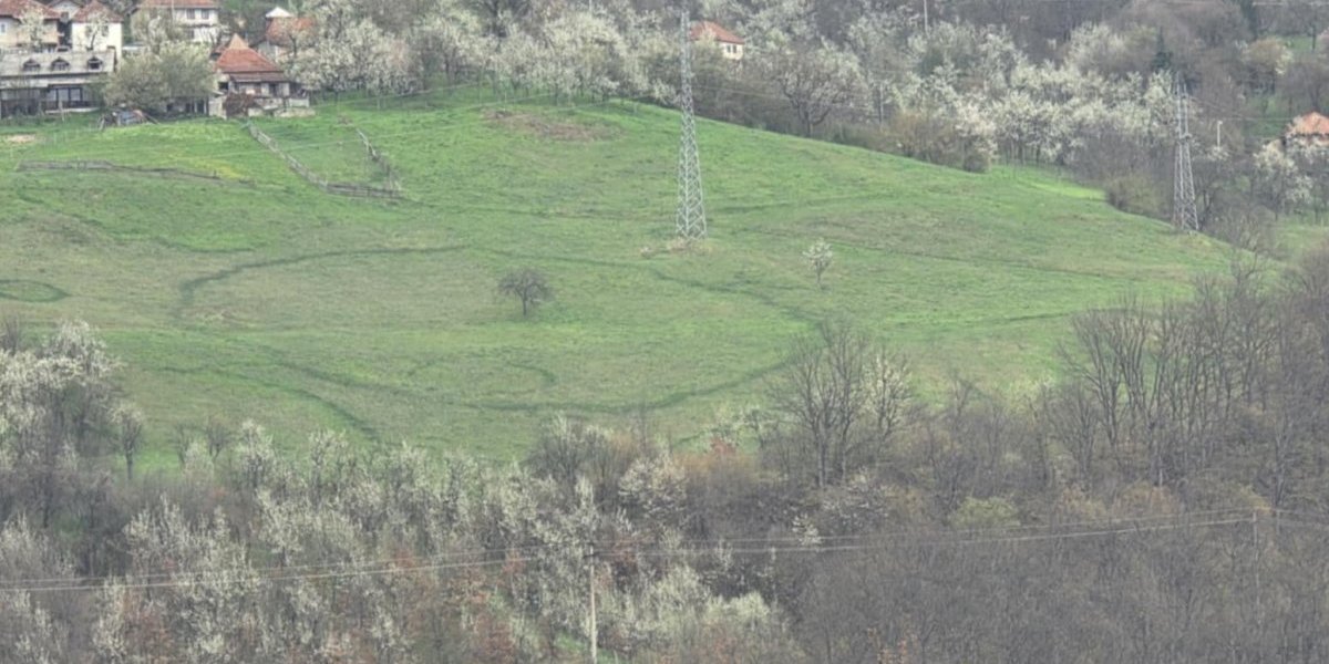 Čudo prirode: Misteriozni krugovi na livadi svakog proleća iznenade (FOTO)